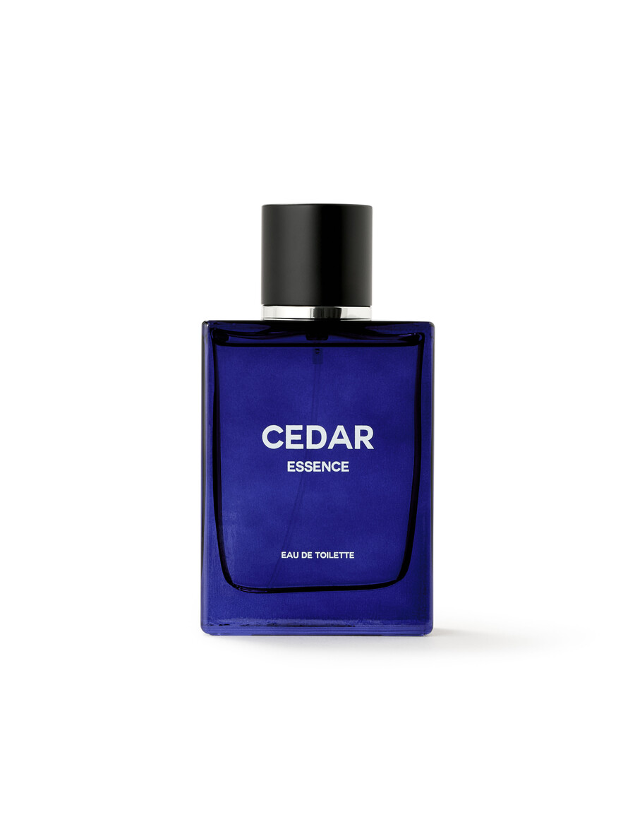 cedro