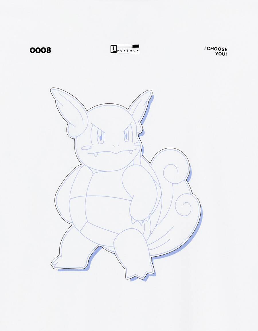 pokémon