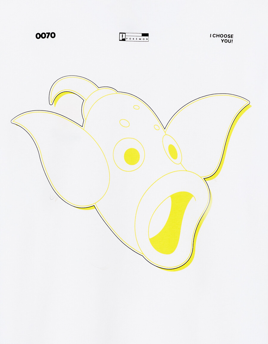 pokémon