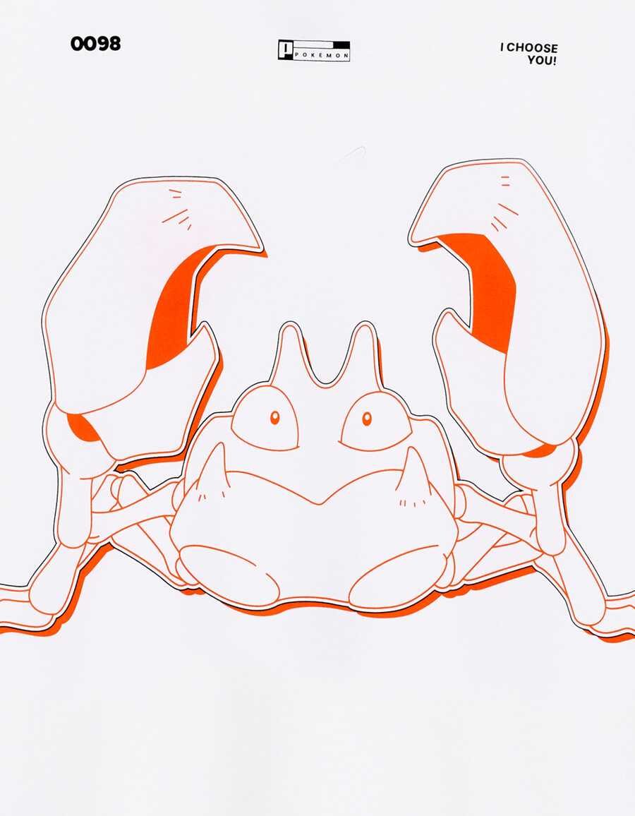 pokémon