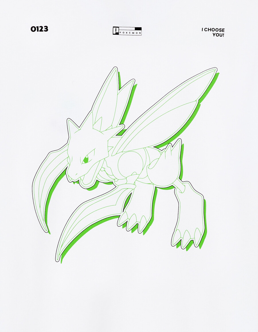 pokémon
