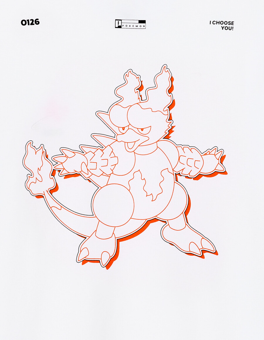 pokémon